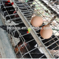 A Type 4 Cells 4 Tiers 128 Birds Poultry Cage for Egg Chickens